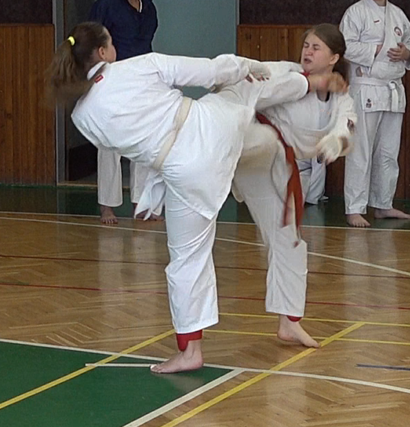 2504JS-2 Foto03     G
